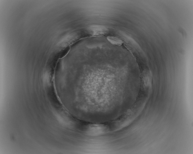 X0000113020316200909101843