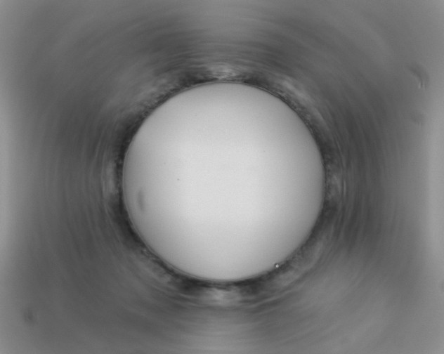 X0000113020317200909101843