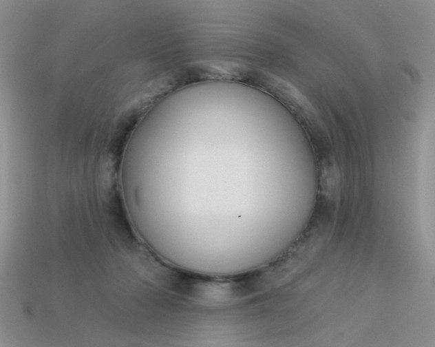 X0000113020318200909101843