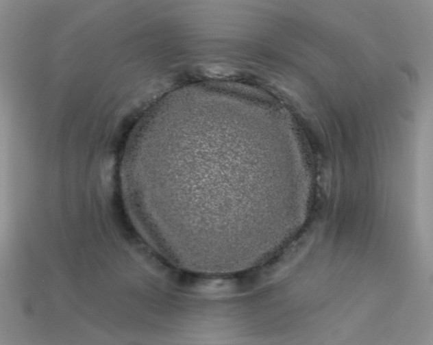 X0000113020319200909101843