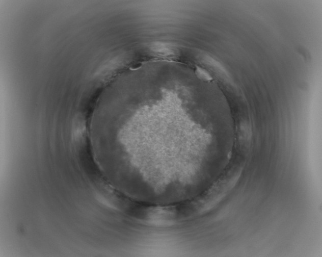 X0000113020320200909101843