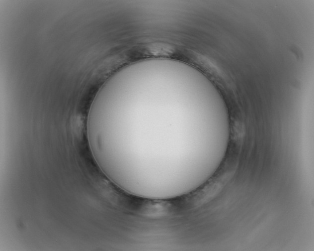 X0000113020321200909101843