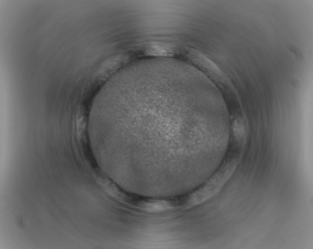 X0000113020322200909101843
