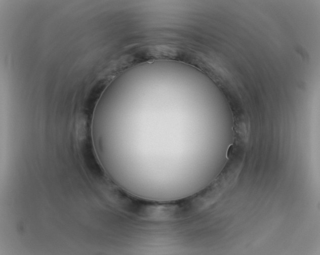X0000113020323200909101843
