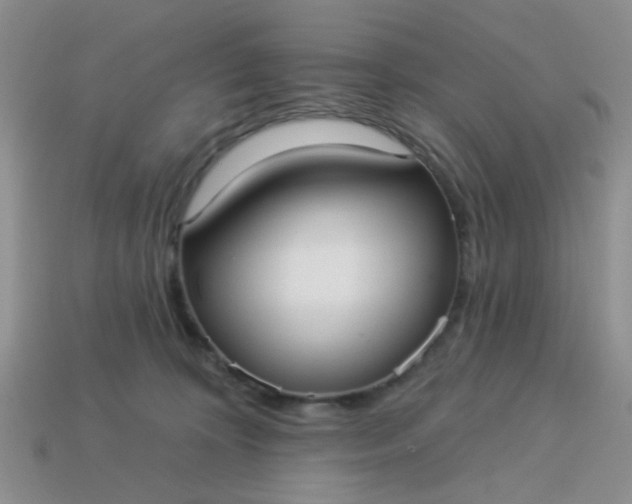 X0000113020324200909101843