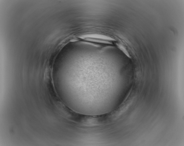 X0000113020325200909101843
