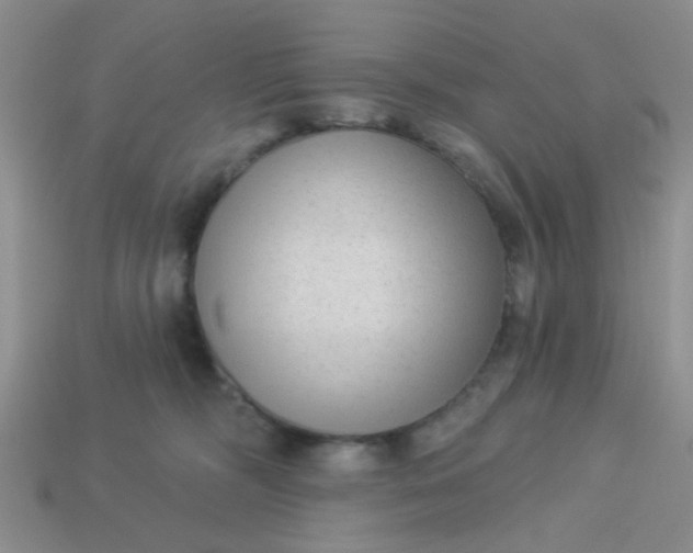 X0000113020326200909101843