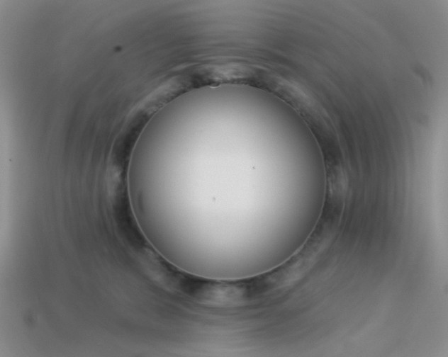 X0000113020327200909101843