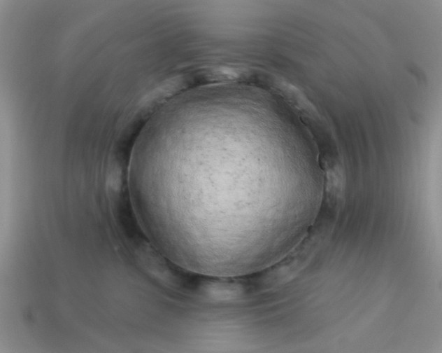 X0000113020331200909101842