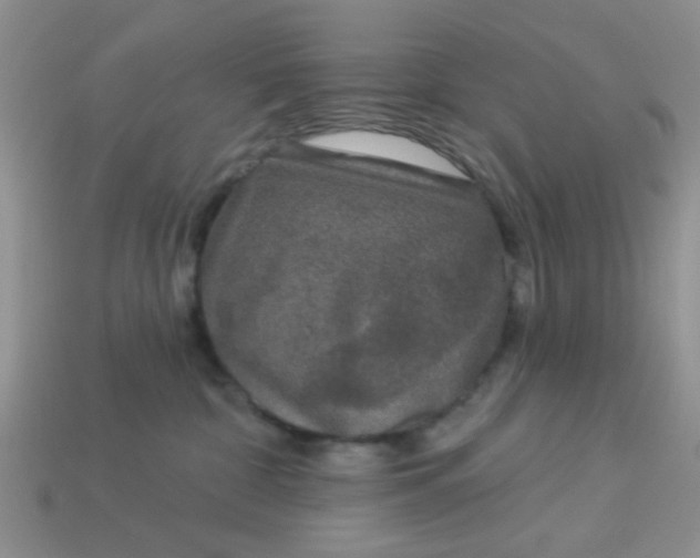 X0000113020332200909101842