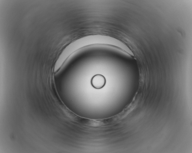 X0000113020333200909101842