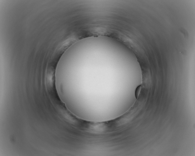 X0000113020334200909101842