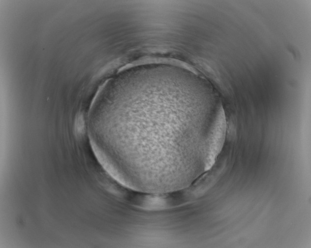 X0000113020335200909101842