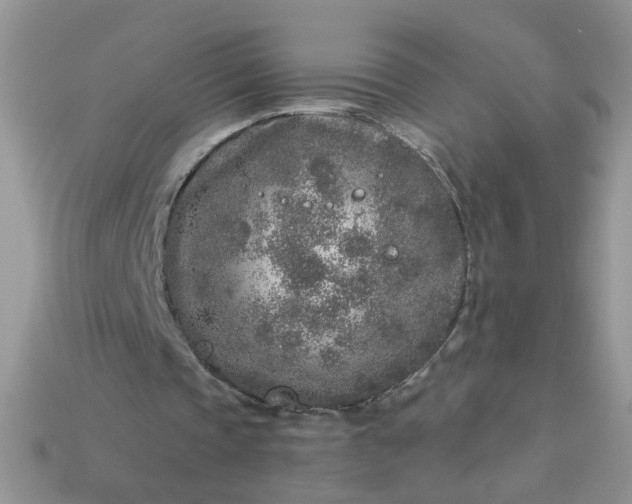 X0000113020337200909101842