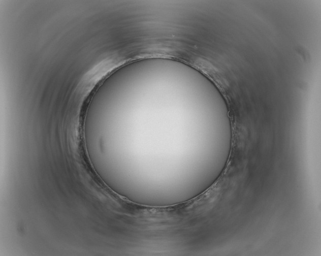 X0000113020338200909101842