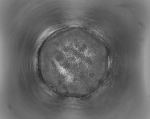 X0000113020339200909101842