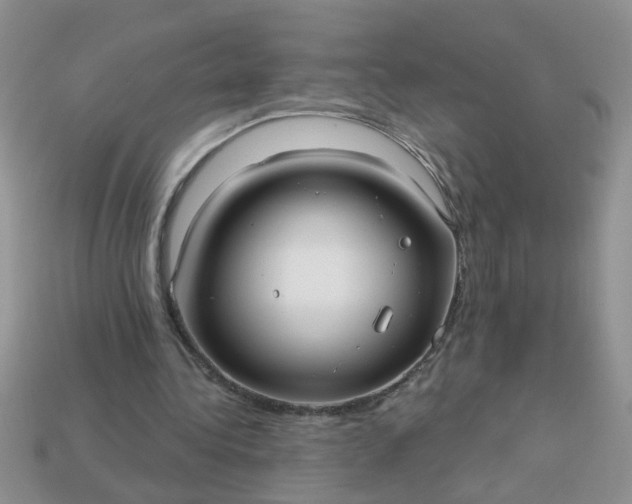 X0000113020340200909101842