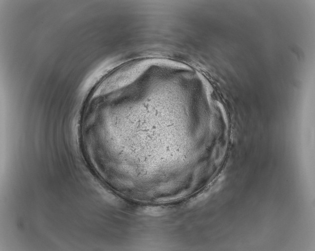 X0000113020341200909101842