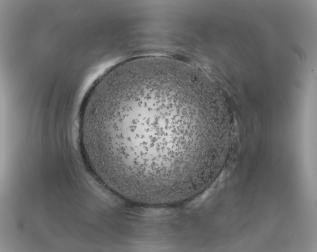X0000113020342200909101842
