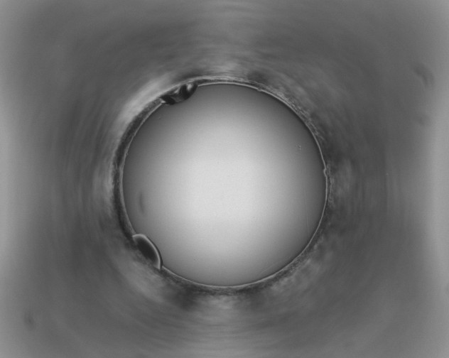X0000113020344200909101842