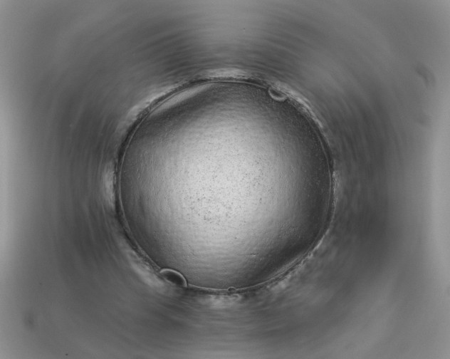 X0000113020345200909101842
