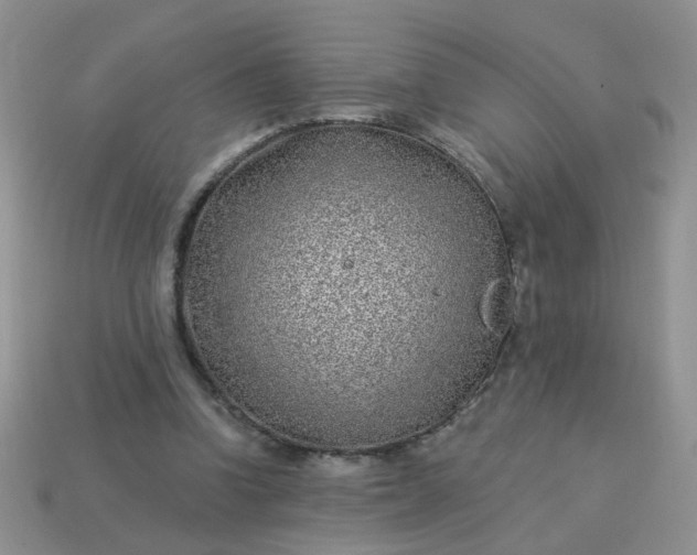 X0000113020346200909101842