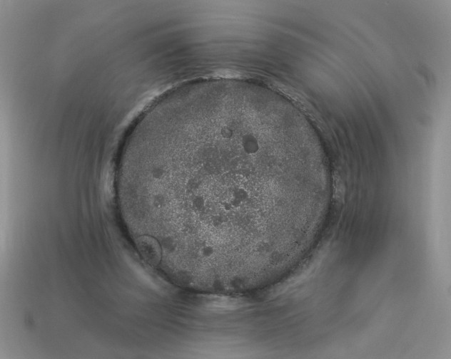 X0000113020347200909101842