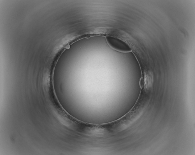 X0000113020348200909101842