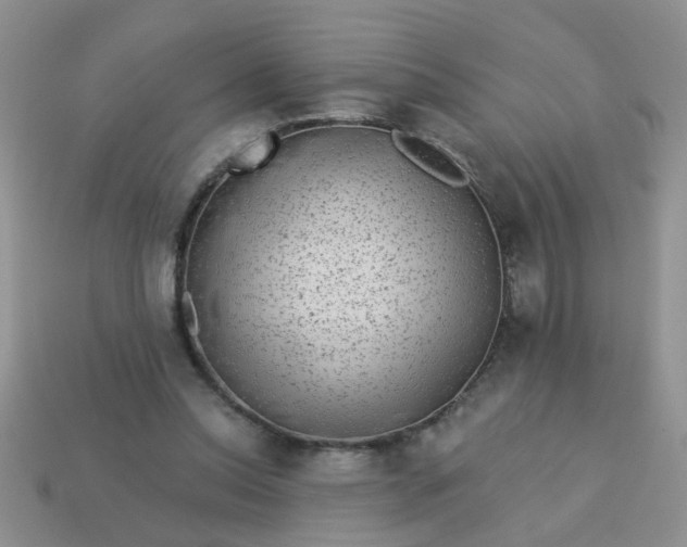 X0000113020350200909101842