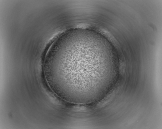 X0000113020354200909101842