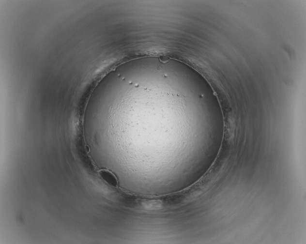 X0000113020355200909101842