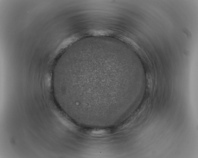 X0000113020357200909101842