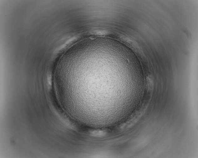 X0000113020358200909101842