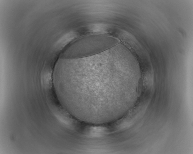 X0000113020360200909101842