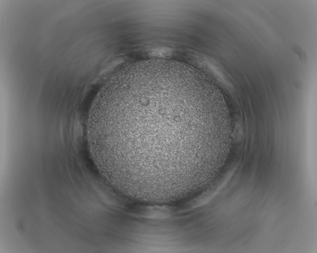 X0000113020363200909101842