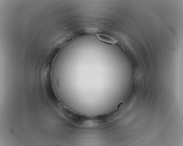 X0000113020364200909101842