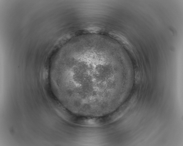 X0000113020365200909101842