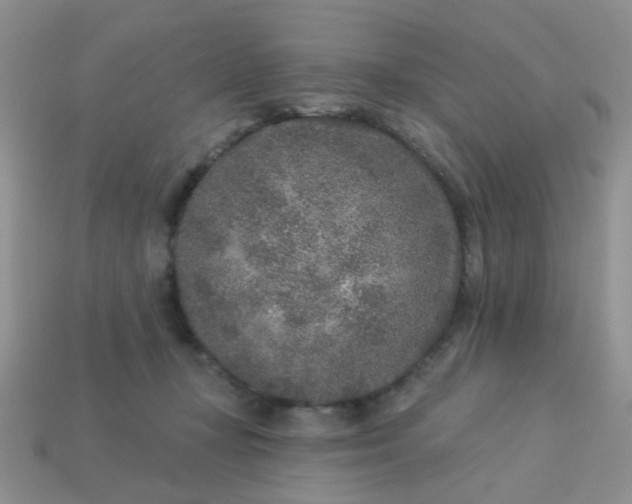 X0000113020367200909101842
