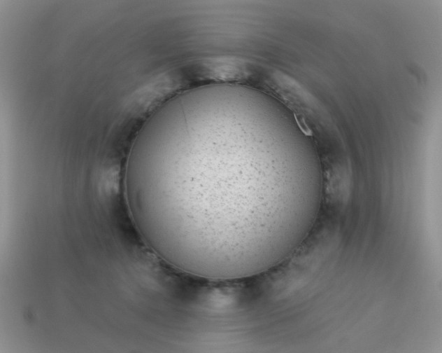 X0000113020368200909101842