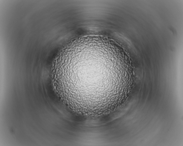 X0000113020369200909101842