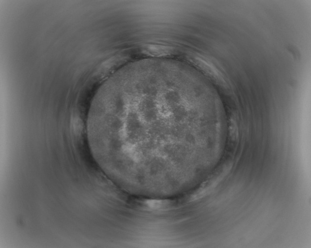 X0000113020371200909101842