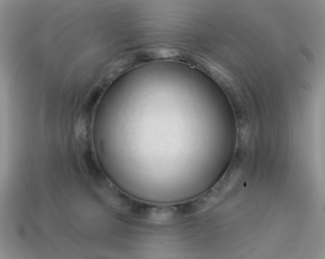 X0000113020373200909101842