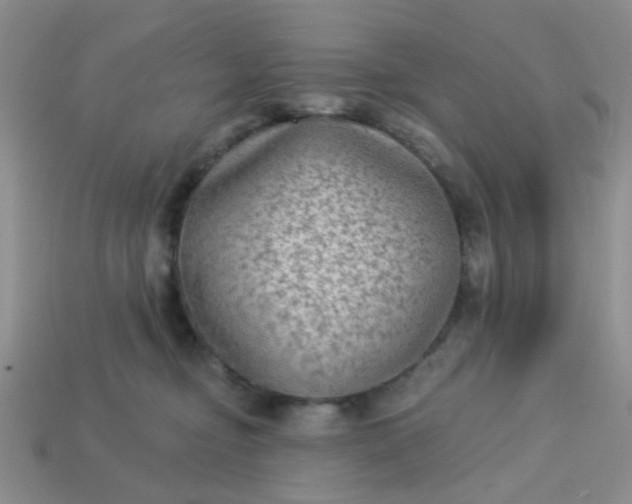 X0000113020374200909101842