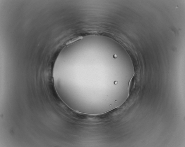 X0000113020376200909101842