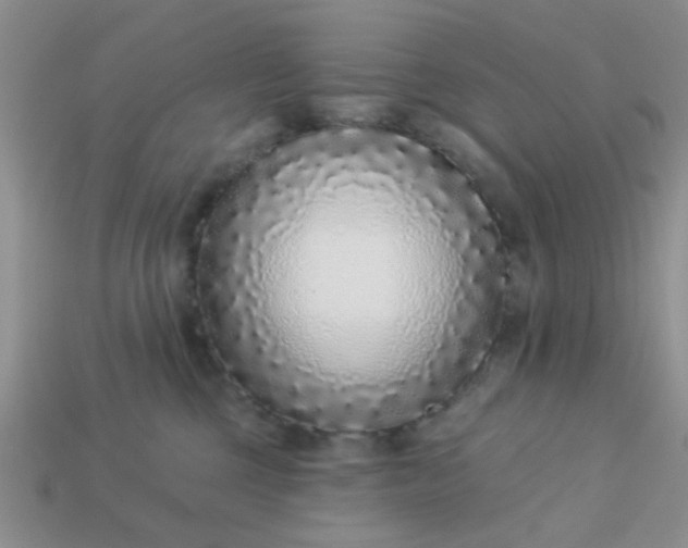 X0000113020377200909101842