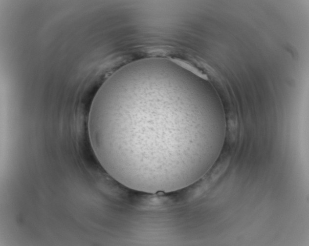 X0000113020379200909101842