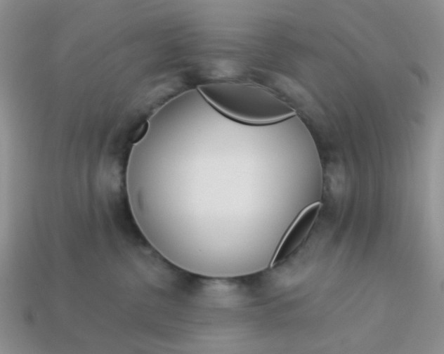 X0000113020380200909101842