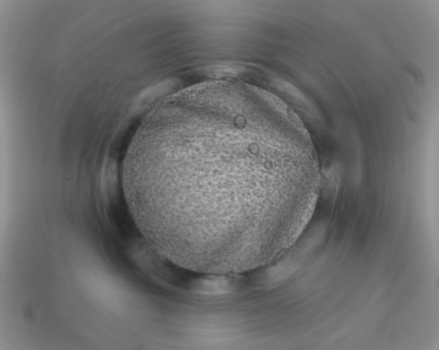 X0000113020381200909101842