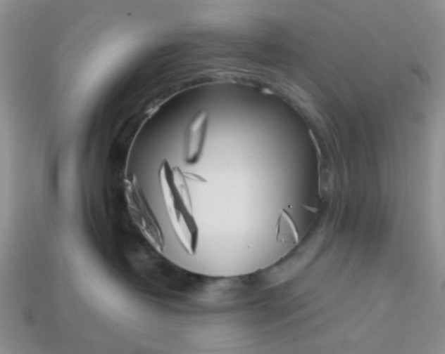 X0000113020382200909101842
