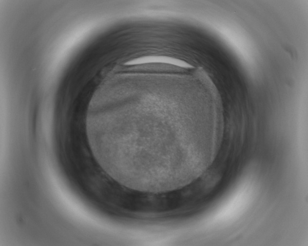 X0000113020383200909101842